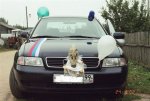 Club Volvo. Ru - А эта свадьба пела и плясала...