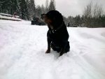 Club Volvo. Ru - Надо чаще встречаться...(или 23-го на шашлыки)