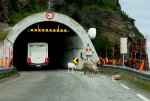 Club Volvo. Ru - Nordkapplatået - или самый северный мыс Европы