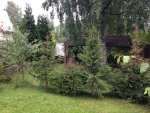 Club Volvo. Ru - Продажа участка Белоостров / Заозерное