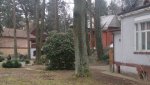 Club Volvo. Ru - Погода в Питере.. - Part 3