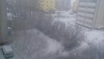 Club Volvo. Ru - Погода в Калининграде