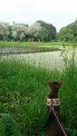 Club Volvo. Ru - Коты. Перепись населения. - Part 2