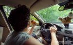 Club Volvo. Ru - 11-летие клуба. ДР 2016. Глухомань