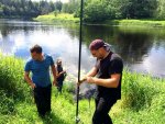 Club Volvo. Ru - 11-летие клуба. ДР 2016. Глухомань