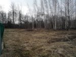 Club Volvo. Ru - продажа участка 60 км от МКАД(север) Club Volvo. Ru - продажа участка 60 км от МКАД(север)