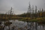 Club Volvo. Ru - Птицы стали собираться на юг, а меня снова потянуло на Север. Club Volvo. Ru - Птицы стали собираться на юг, а меня снова потянуло на Север.