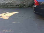 Club Volvo. Ru - Лужа под машиной, я в панике! Club Volvo. Ru - Лужа под машиной, я в панике!