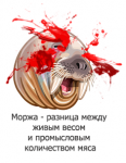 Club Volvo. Ru - Эту машину не стоит даже смотреть, несмотря на "вкусное" описание