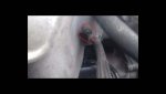 Club Volvo. Ru - Неясно назначение отверстия в двигателе