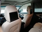 Club Volvo. Ru - Принимайте животного