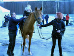 Club Volvo. Ru - Клубная Масленица в Москве 09.03