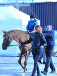 Club Volvo. Ru - Клубная Масленица в Москве 09.03