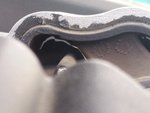 Club Volvo. Ru - Реактивная тяга опоры двигателя