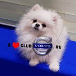 Club Volvo. Ru - Клуб Вольво - с истинным ДР, 14 лет !!