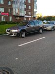 Club Volvo. Ru - Щенячий восторг