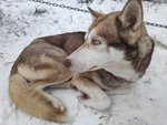 Club Volvo. Ru - MINI FAMILY EXPEDITION (03.01-08.01.2020)