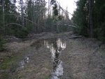 Club Volvo. Ru - отзыв о машинке (ХС 90)