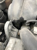 Club Volvo. Ru - Давит масло: сальник или муфта vvt? Club Volvo. Ru - Давит масло: сальник или муфта vvt?