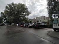 Club Volvo. Ru - 21 августа спорт + пикник Сестрорецк, Тайм-Аут