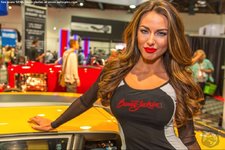 Club Volvo. Ru - Запретили девушек на выставках и соревнованиях