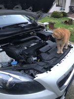 Вольво V40CC T5