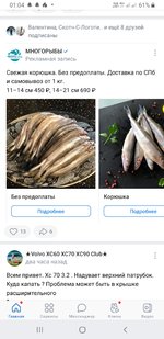 Club Volvo. Ru - Корюшка 2022