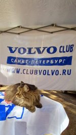 Club Volvo. Ru - Коты. Перепись населения. - Part 3