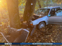 Club Volvo. Ru - 740 боднула дерево в Витебской области Club Volvo. Ru - 740 боднула дерево в Витебской области
