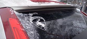 Club Volvo. Ru - Шашлык в лесу 06.01.25