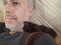 Club Volvo. Ru - Коты. Перепись населения. - Part 3