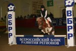 Club Volvo. Ru - Девочки и лошади - близкие друзья