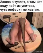 Club Volvo. Ru - Весёлые картинки