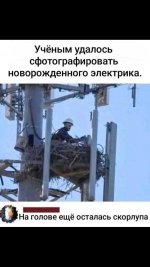 Club Volvo. Ru - Весёлые картинки