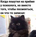Club Volvo. Ru - Весёлые картинки