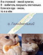 Club Volvo. Ru - Весёлые картинки