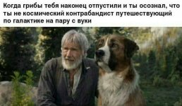 Club Volvo. Ru - Весёлые картинки