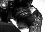 Club Volvo. Ru - Вопрос к юзающим фотики... Собственно выбираю фотоаппарат