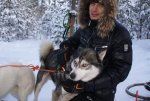 Club Volvo. Ru - Лапландия рождественский тур