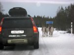 Club Volvo. Ru - Лапландия рождественский тур