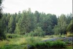 Club Volvo. Ru - Участки в Ленинградской области