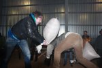 Club Volvo. Ru - Клубный выезд 13.02.2010г на масленницу в Переславль-Залесский!!!