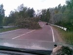 Club Volvo. Ru - Сосново-Ладога, ураган "Ахтунг"