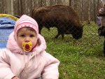 Club Volvo. Ru - Поездка в Тулу (один день с8-22часов)