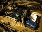 Club Volvo. Ru - '81 264
