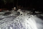 Club Volvo. Ru - Путешествие к Северному Сиянию на Норд кап!