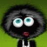 Elgul