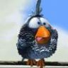 SNO