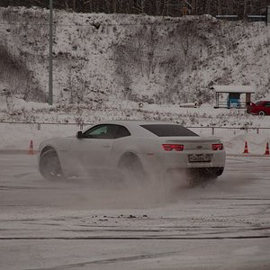 IMG_3786.jpg