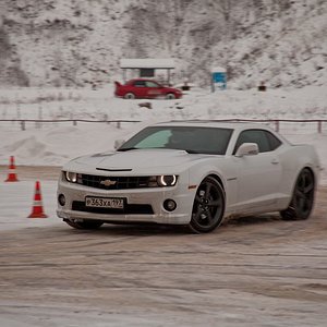 IMG_3774.jpg